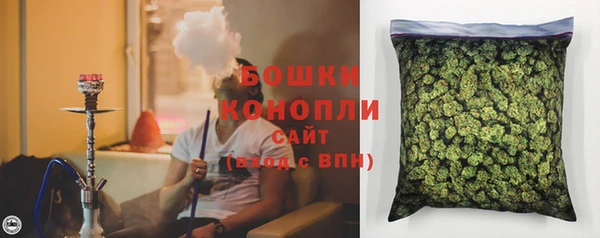 стаф Гусь-Хрустальный