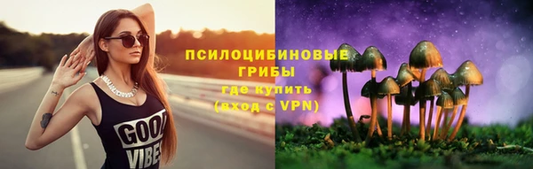 spice Нягань