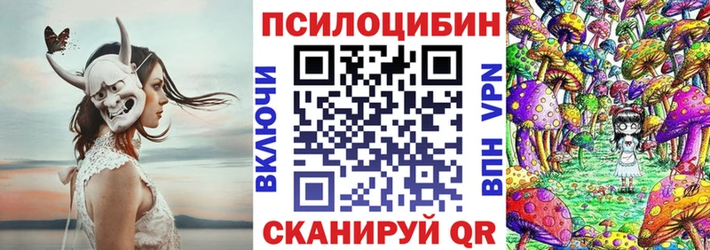Галлюциногенные грибы Psilocybine cubensis  Купить закладки  Асбест 